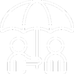 Insurance Agent